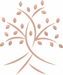 logo-graph-hd